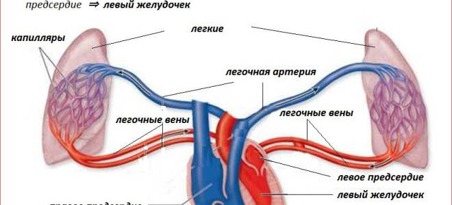 Гипертензия по мкк