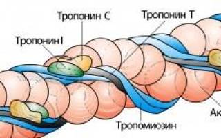 Тропонин т при инфаркте миокарда